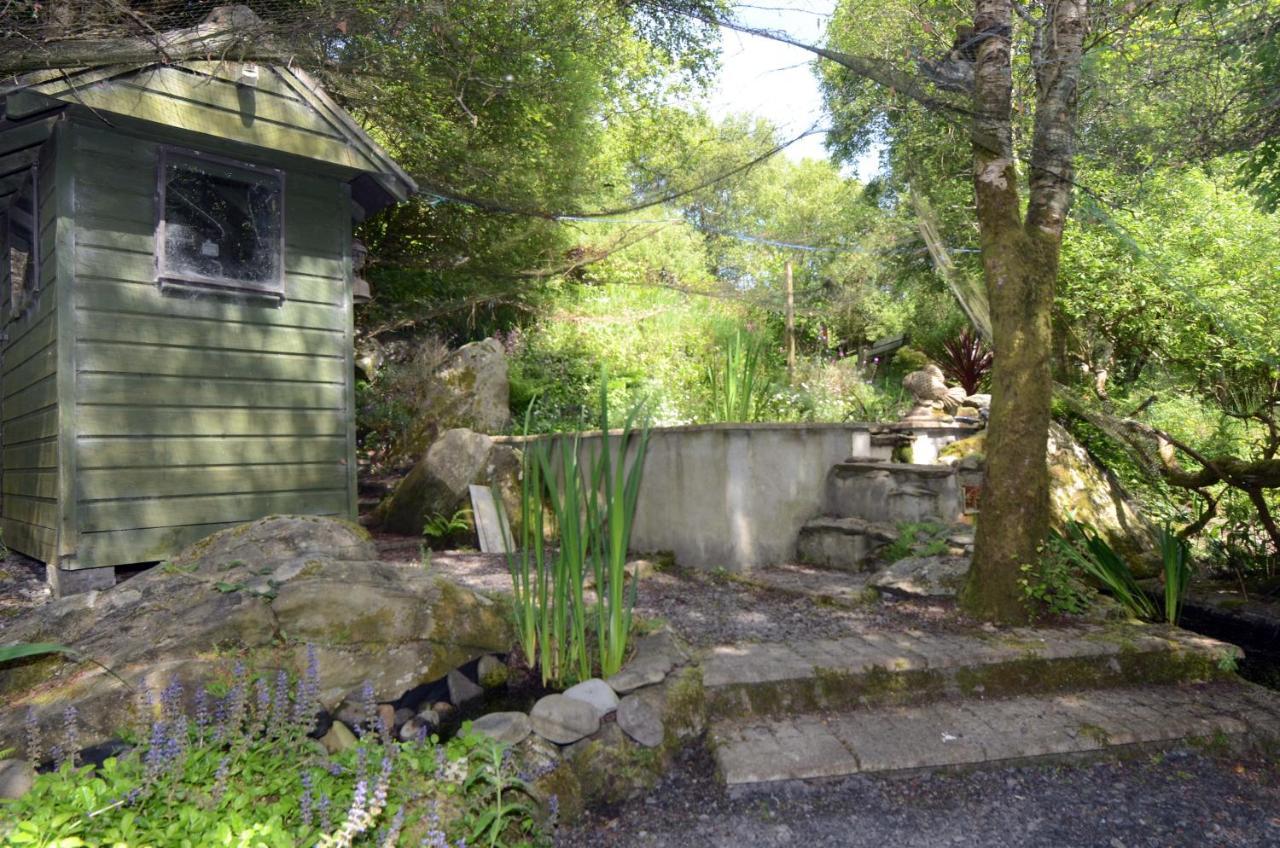Tawny Lodge Westport Bagian luar foto