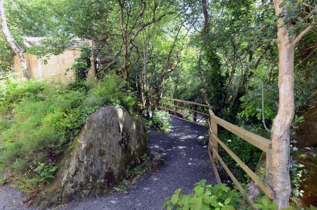 Tawny Lodge Westport Bagian luar foto