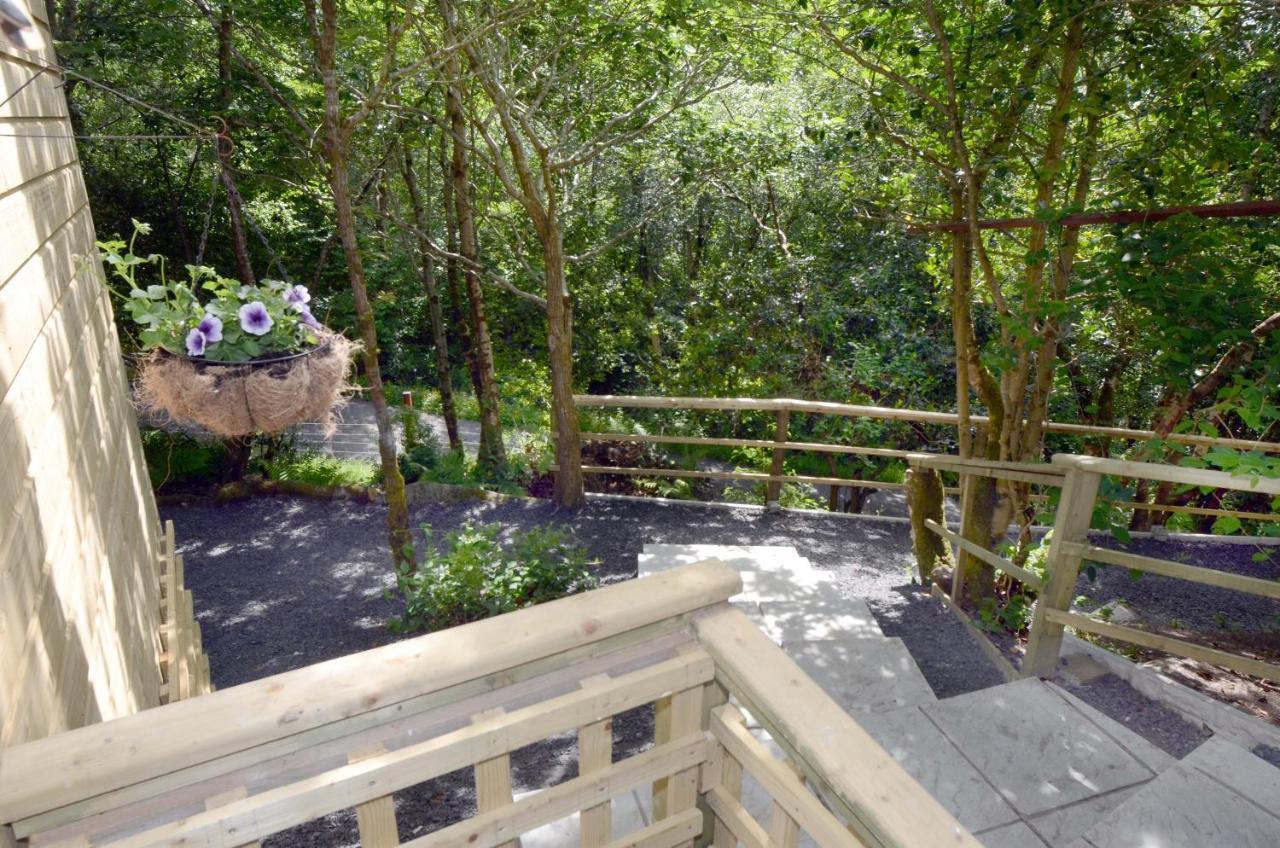 Tawny Lodge Westport Bagian luar foto