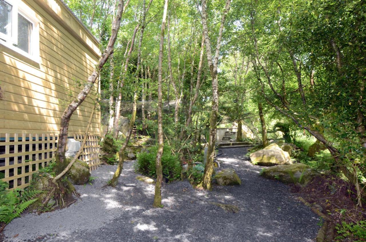 Tawny Lodge Westport Bagian luar foto